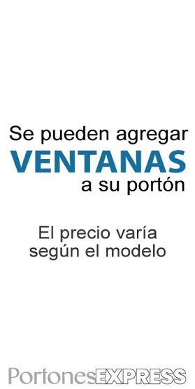 Puerta con Ventana 1